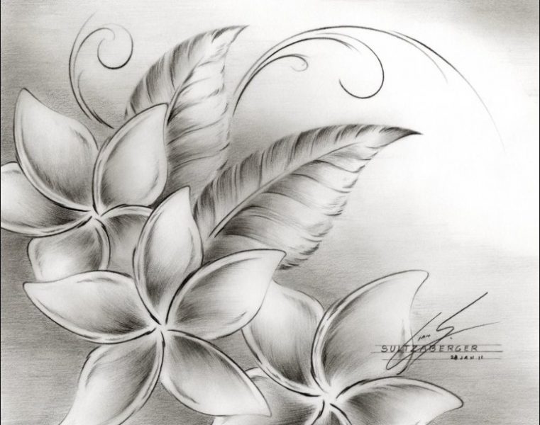 Detail Gambar Arsiran Daun Nomer 34