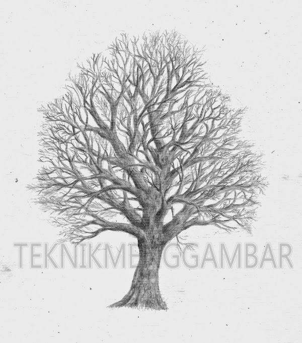 Detail Gambar Arsiran Daun Nomer 39