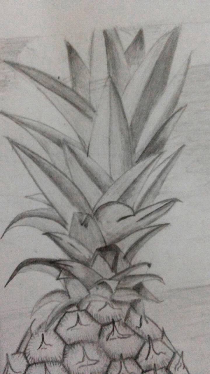 Detail Gambar Arsiran Daun Nomer 43