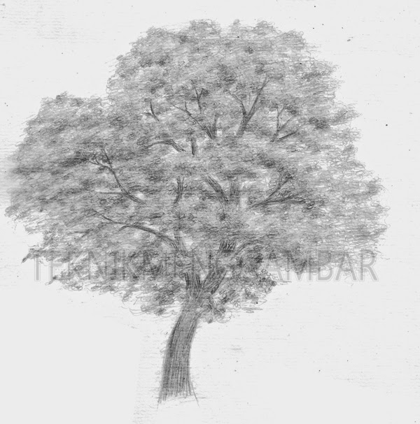 Detail Gambar Arsiran Daun Nomer 44