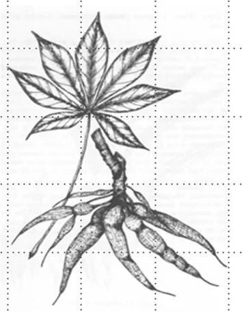 Detail Gambar Arsiran Daun Nomer 46