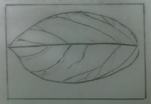 Detail Gambar Arsiran Daun Nomer 47