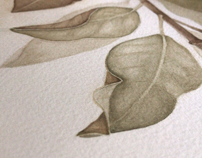 Detail Gambar Arsiran Daun Nomer 48