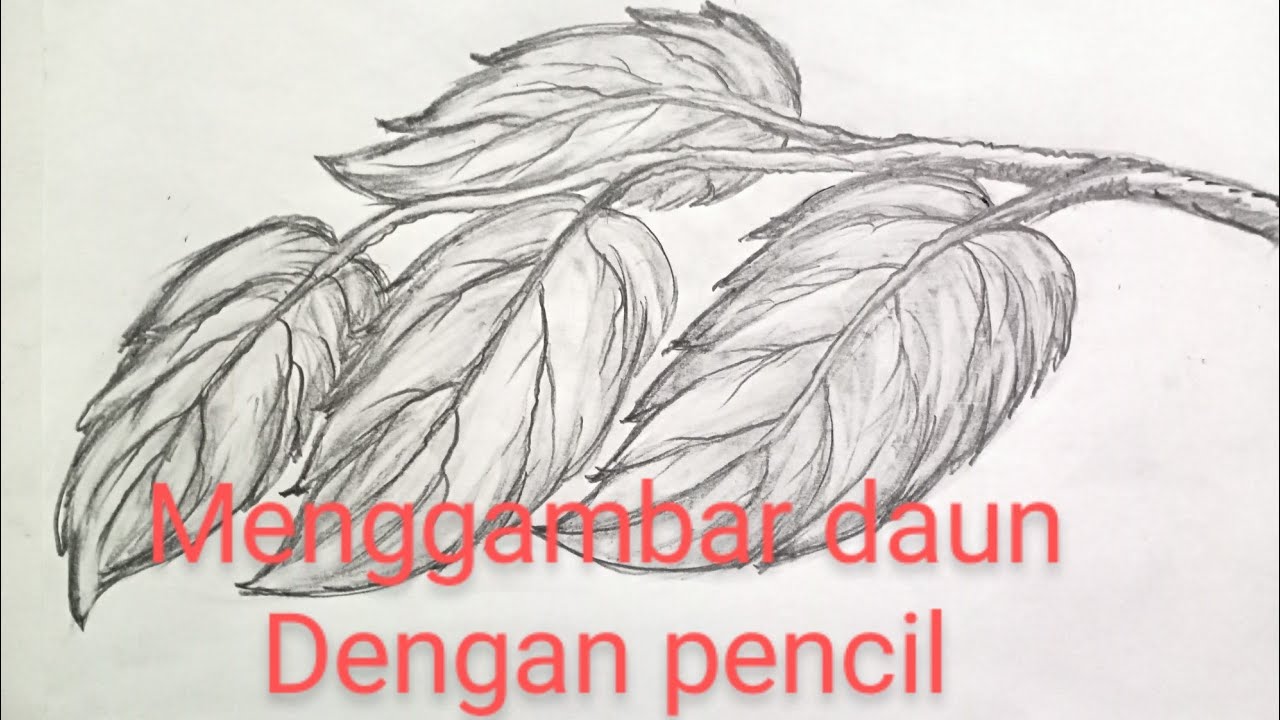 Detail Gambar Arsiran Daun Nomer 9