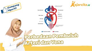 Detail Gambar Arteri Dan Vena Nomer 34