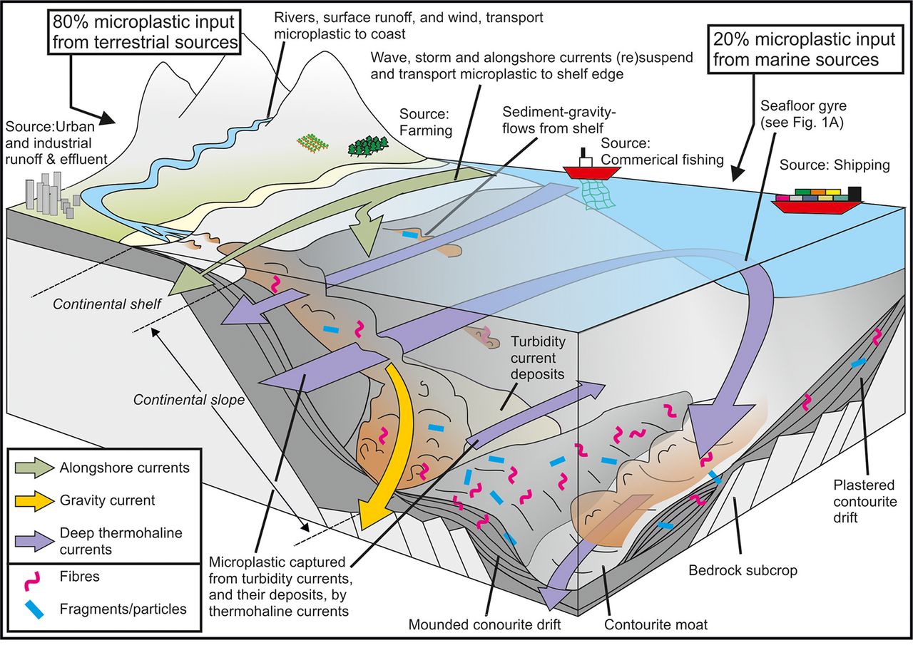 Detail Gambar Arus Laut Nomer 38