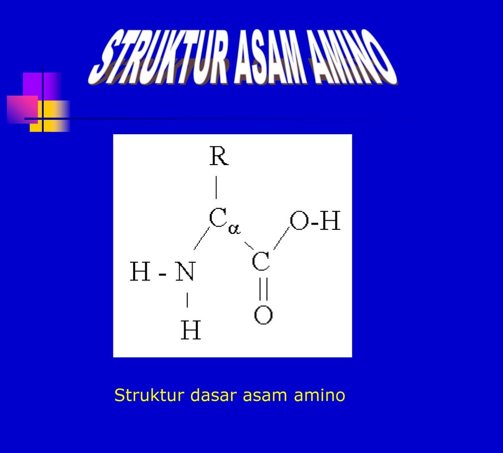 Detail Gambar Asam Amino Nomer 21