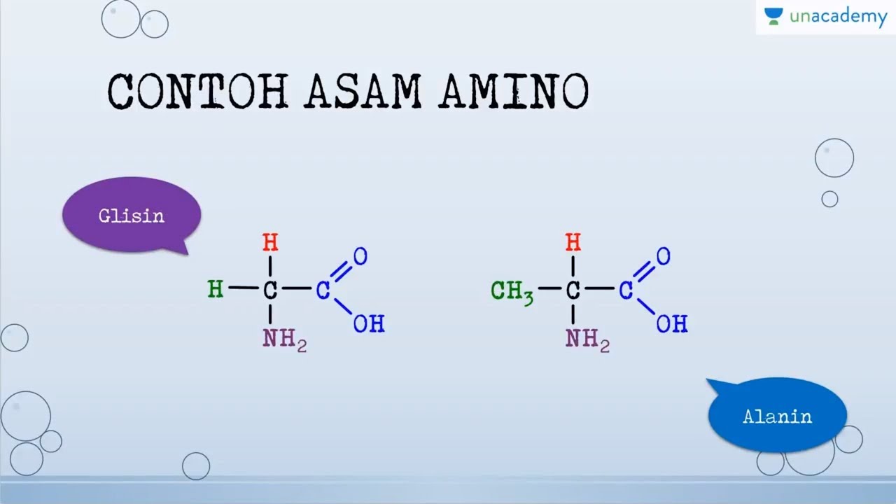 Detail Gambar Asam Amino Nomer 26