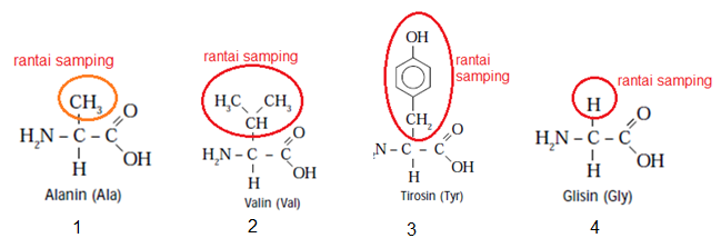 Detail Gambar Asam Amino Nomer 29