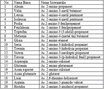 Detail Gambar Asam Amino Nomer 30