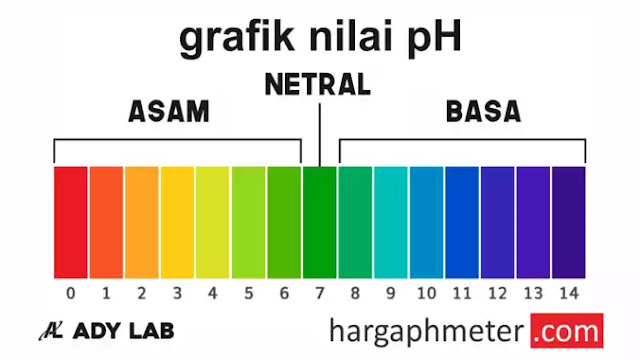 Detail Gambar Asam Basa Nomer 34