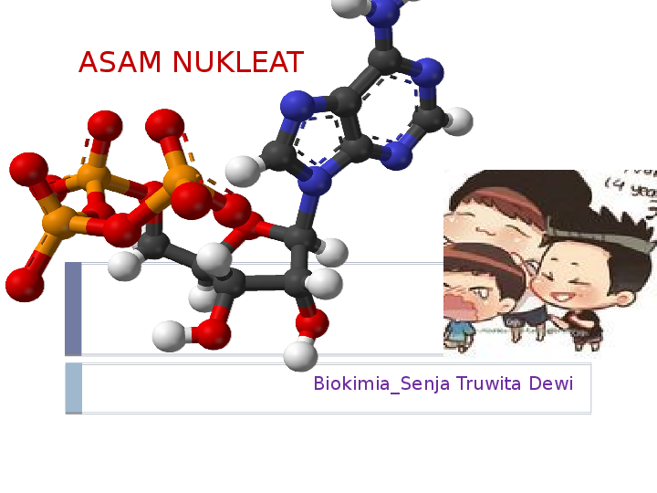 Detail Gambar Asam Nukleat Nomer 13