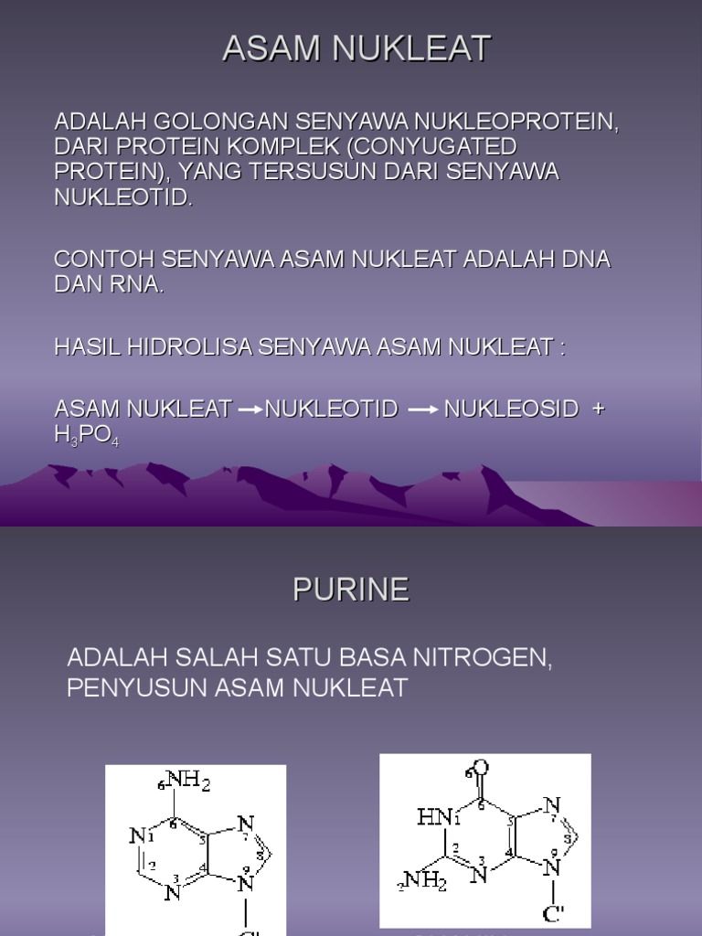 Detail Gambar Asam Nukleat Nomer 53