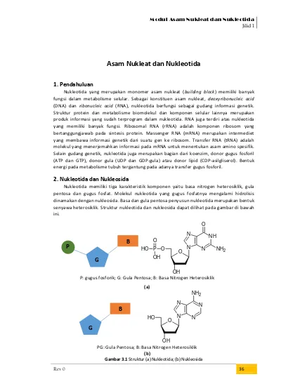 Detail Gambar Asam Nukleat Nomer 56