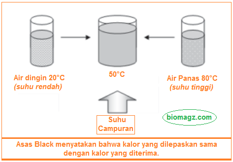 Detail Gambar Asas Black Nomer 16