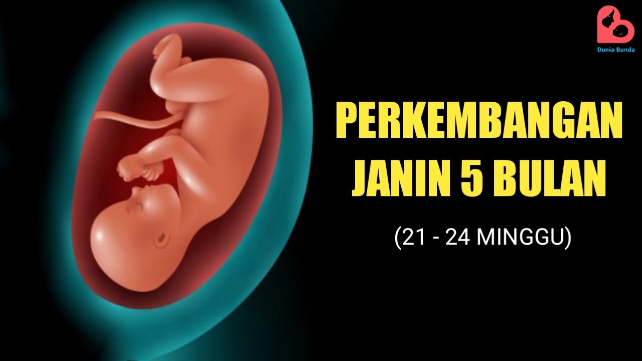 Detail Gambar Asli Janin 5 Bulan Nomer 14