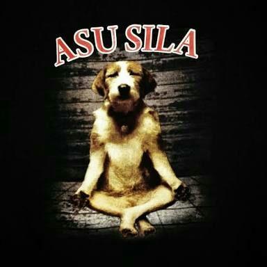 Gambar Asu Mudik Gambar Anjing Lucu Pake Motor - KibrisPDR