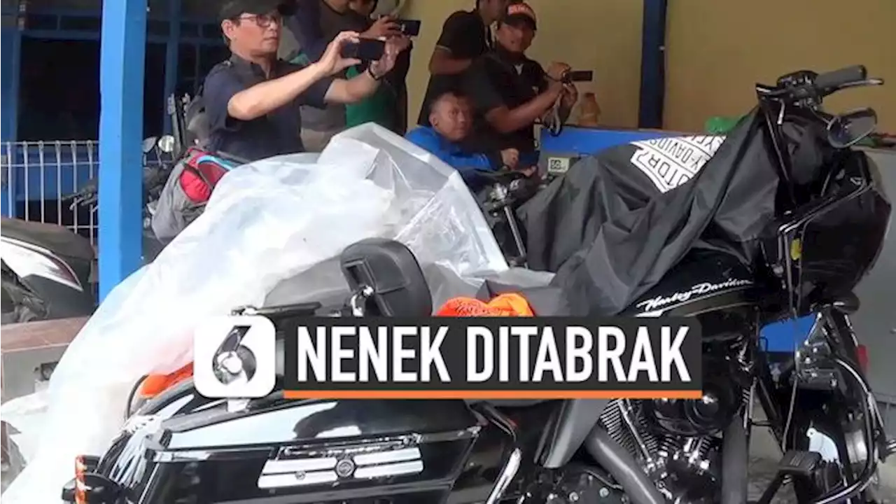 Detail Gambar Asu Mudik Gambar Anjing Lucu Pake Motor Nomer 45