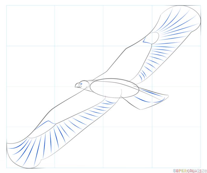 Detail Vorlage Adler Zeichnen Einfach Nomer 14