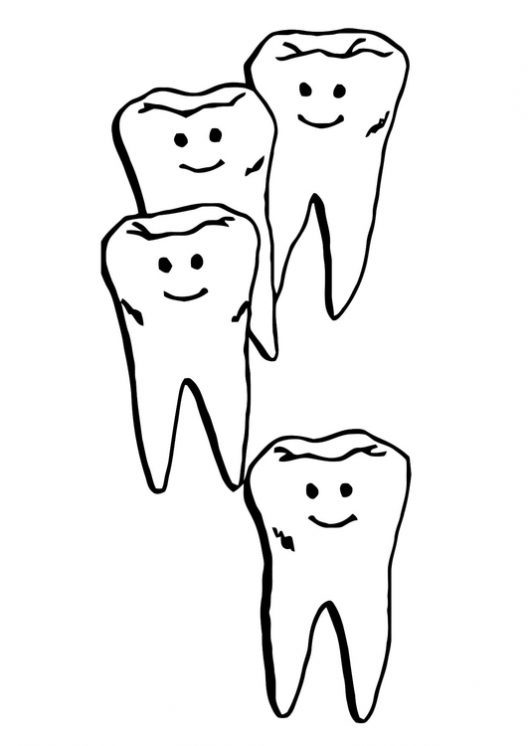Zahn Vorlage Zum Ausdrucken - 29+ Koleksi Gambar