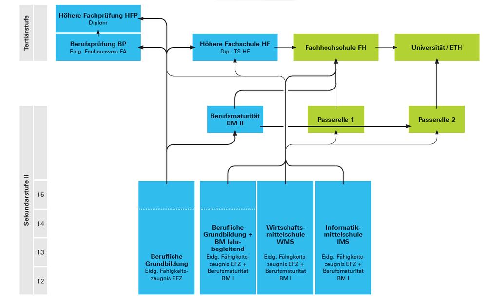 Detail Baumdiagramm Powerpoint Nomer 15