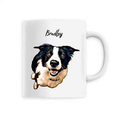 Detail Border Collie Berner Sennenhund Mix Nomer 9