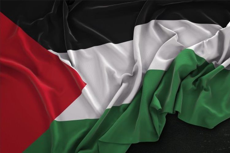 Detail Cara Gambar Bendera Palestina Nomer 17