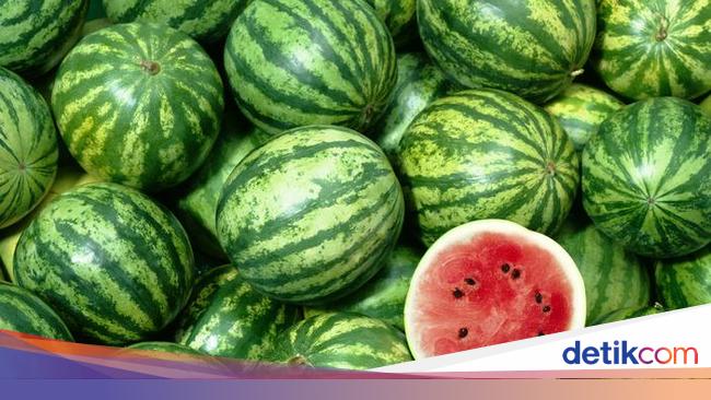 Detail Cara Gambar Semangka Nomer 50