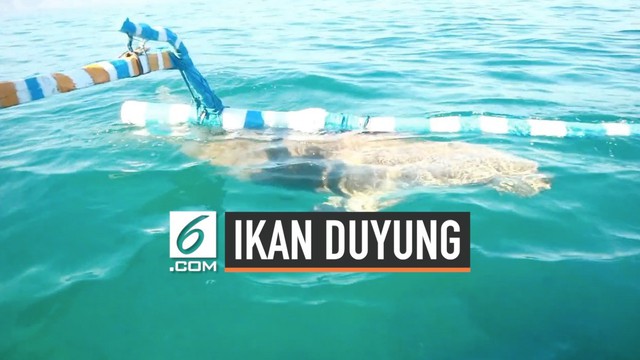 Detail Cara Memanggil Putri Duyung Di Laut Nomer 4