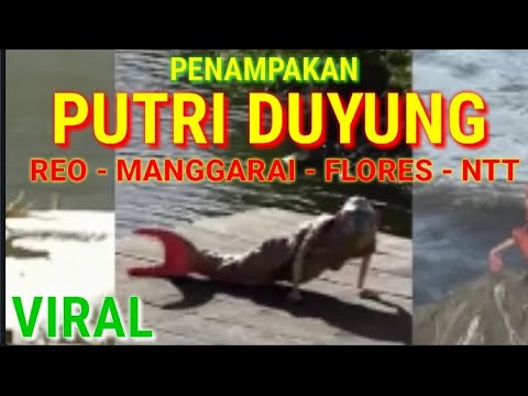 Detail Cara Memanggil Putri Duyung Di Laut Nomer 44