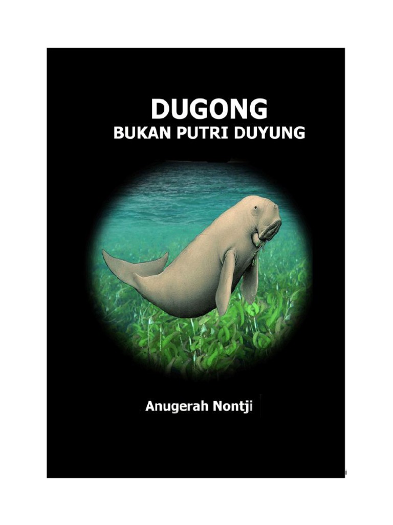 Detail Cara Memanggil Putri Duyung Di Laut Nomer 47