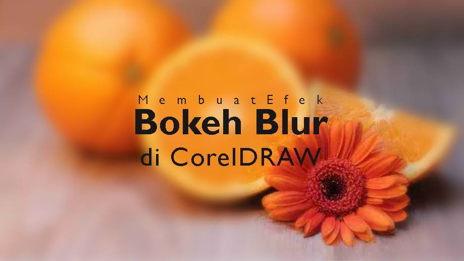 Detail Cara Memblurkan Background Di Coreldraw Nomer 36