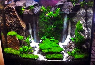 Detail Cara Membuat Air Terjun Di Aquascape Nomer 44