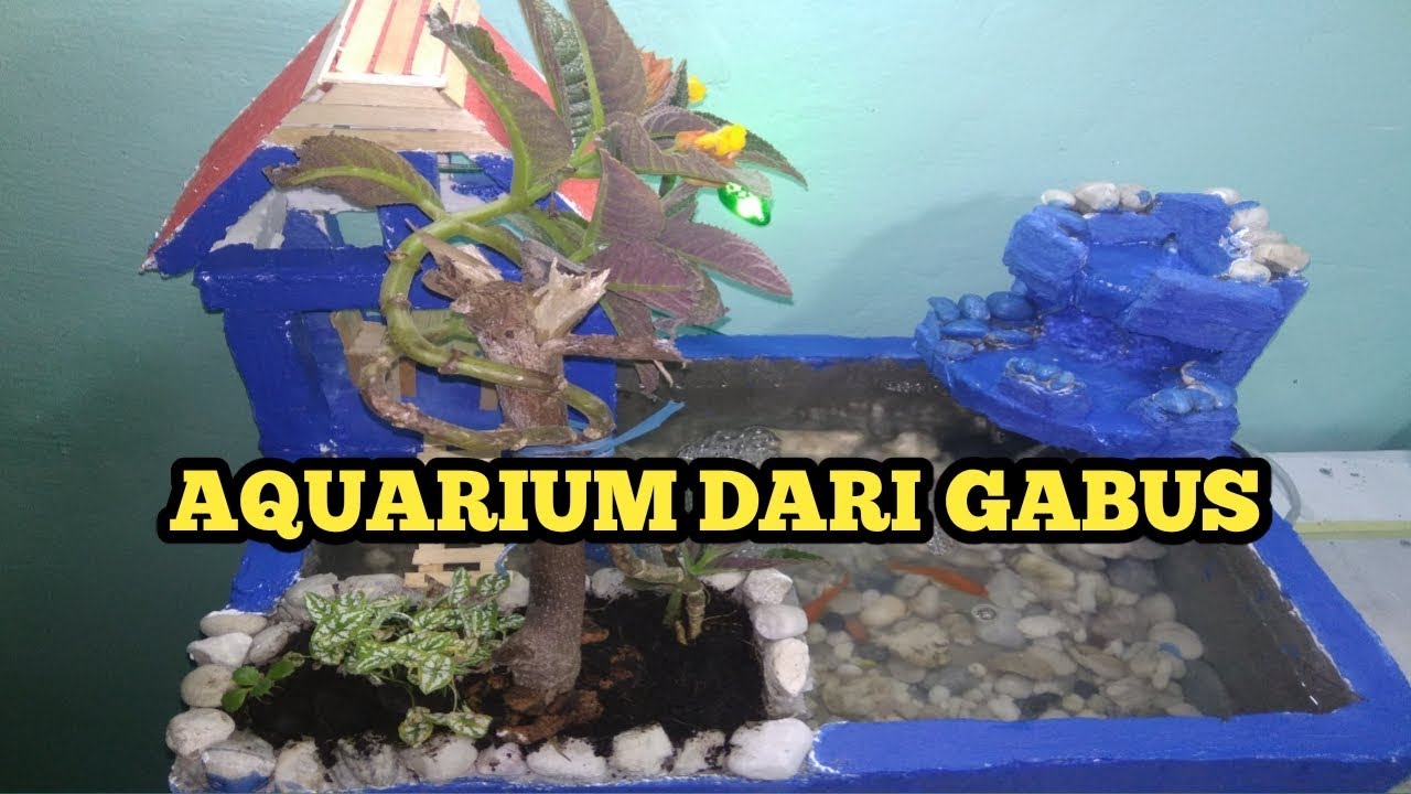 Detail Cara Membuat Aquarium Dari Styrofoam Nomer 4