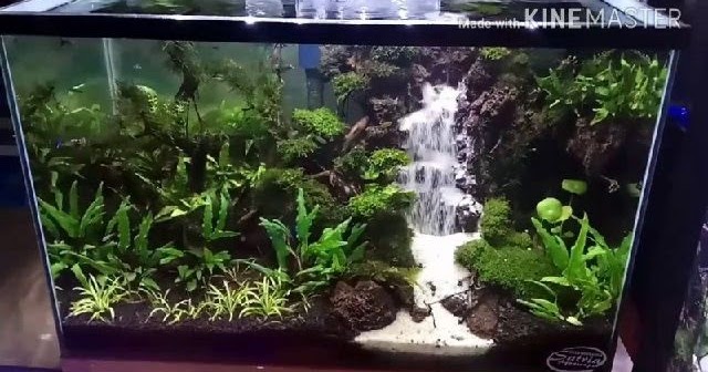 Detail Cara Membuat Aquarium Dari Styrofoam Nomer 30