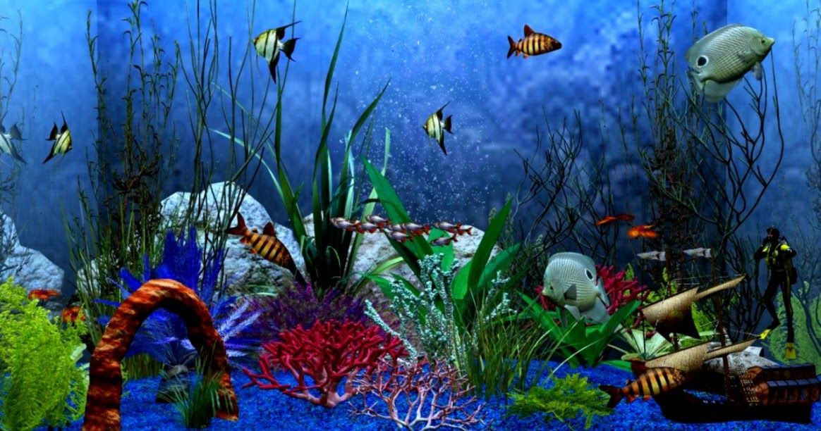 Detail Cara Membuat Background Aquarium Nomer 12