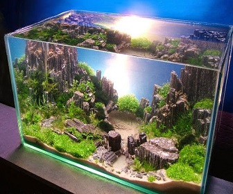 Detail Cara Membuat Background Aquarium Nomer 21