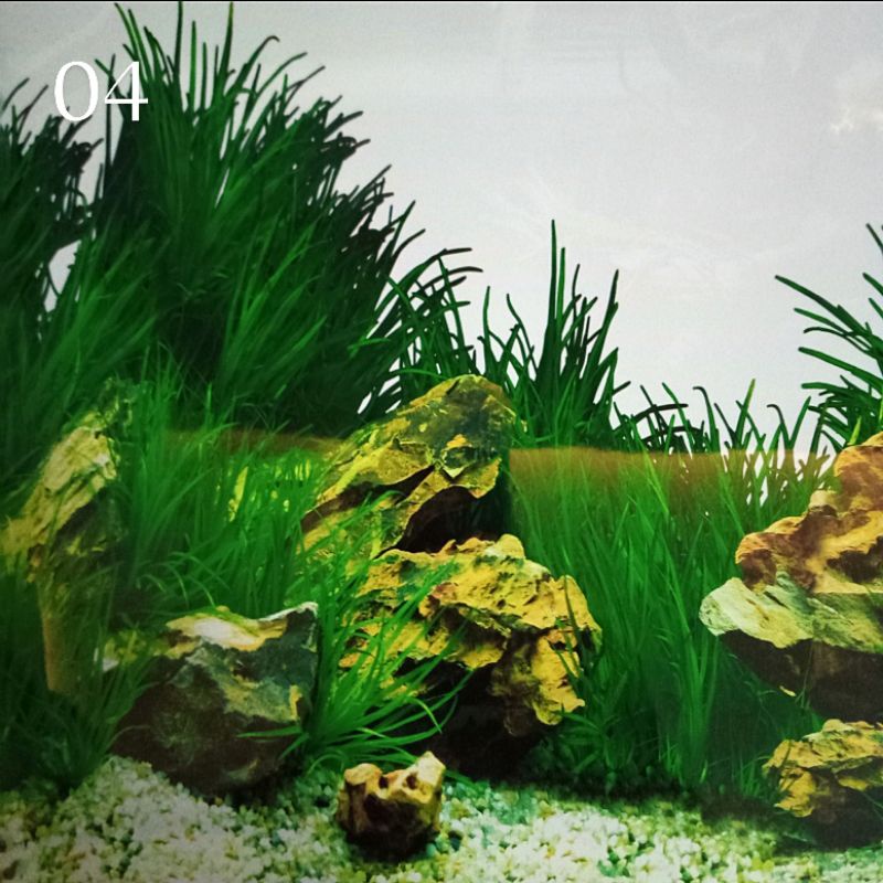Detail Cara Membuat Background Aquarium 3d Nomer 20
