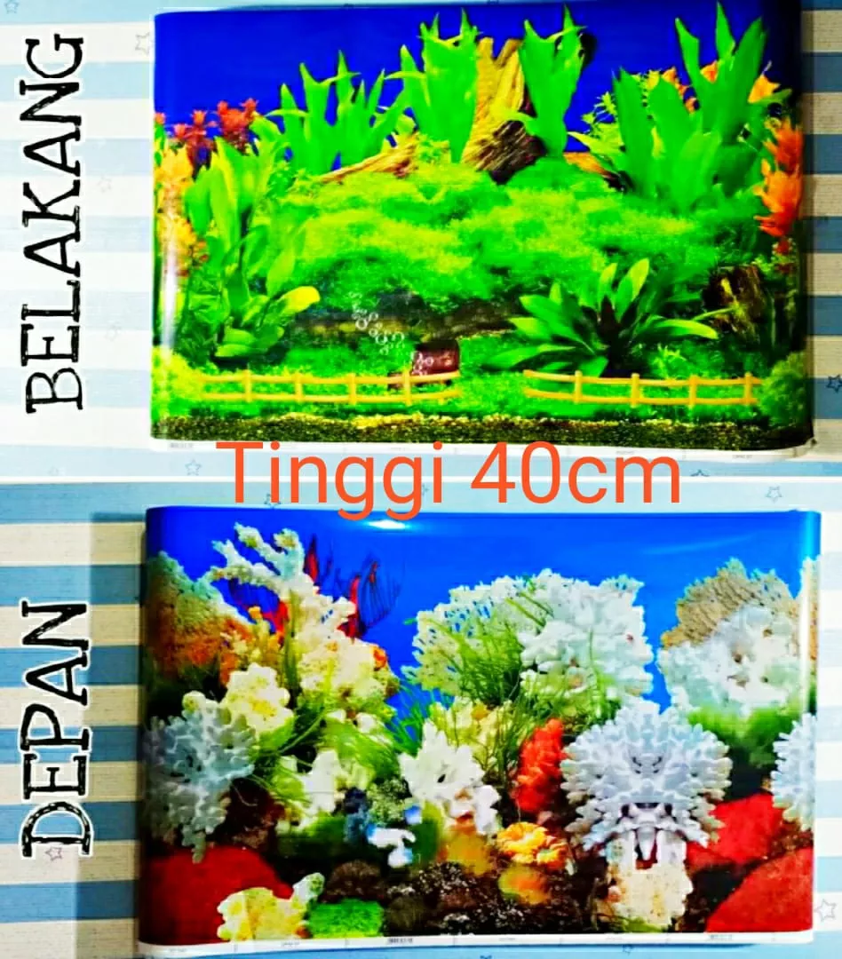 Detail Cara Membuat Background Aquarium Nomer 43