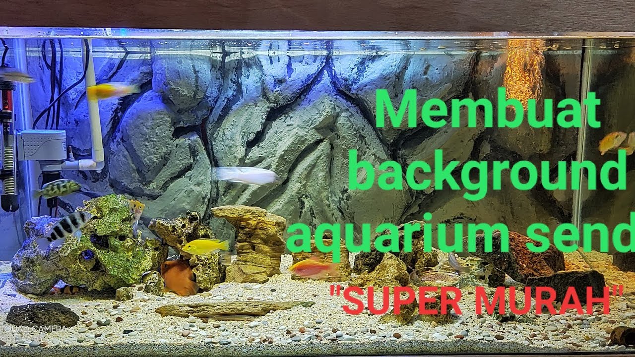 Detail Cara Membuat Background Aquarium Nomer 45