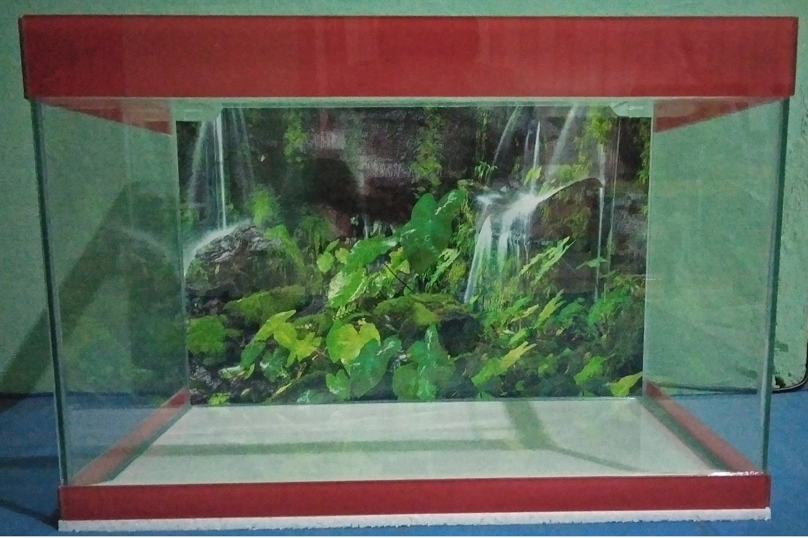 Detail Cara Membuat Background Aquarium Nomer 48