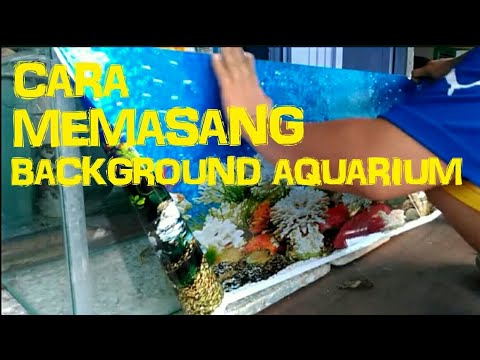 Detail Cara Membuat Background Aquarium Nomer 6