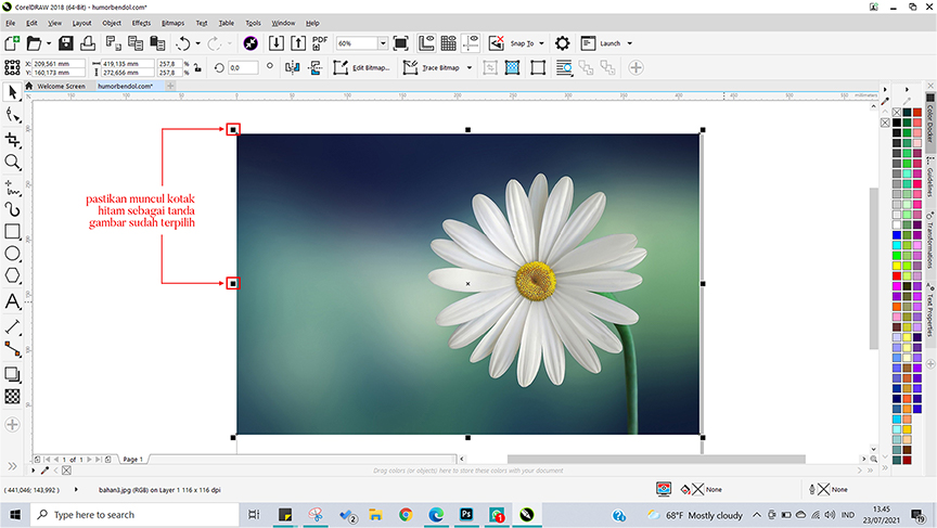 Detail Cara Membuat Background Di Corel Nomer 39