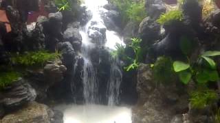 Detail Cara Membuat Batu Air Terjun Aquascape Nomer 36