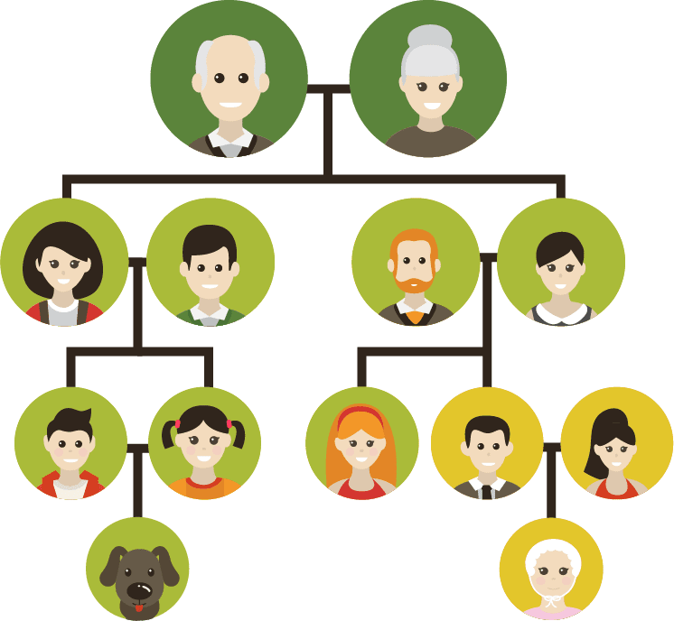 Detail Cara Membuat Family Tree Di Microsoft Word Nomer 41