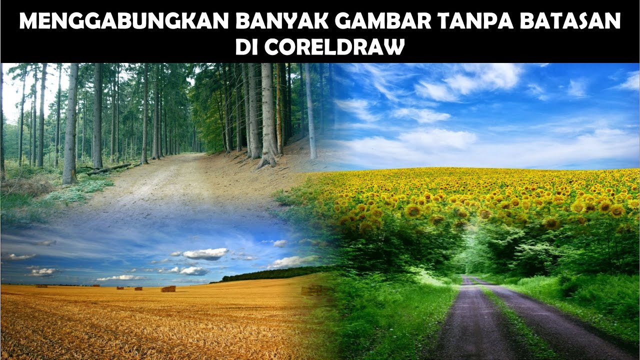 Detail Cara Membuat Gambar Menyatu Dengan Background Di Coreldraw Nomer 17