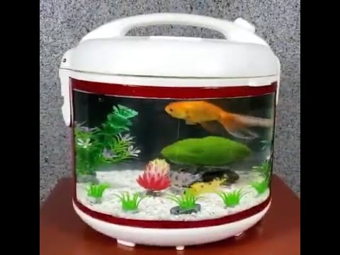 Detail Cara Membuat Hiasan Aquarium Dari Barang Bekas Nomer 24