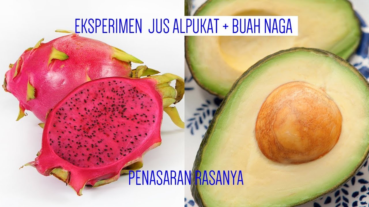 Detail Cara Membuat Jus Buah Naga Untuk Bayi Nomer 50