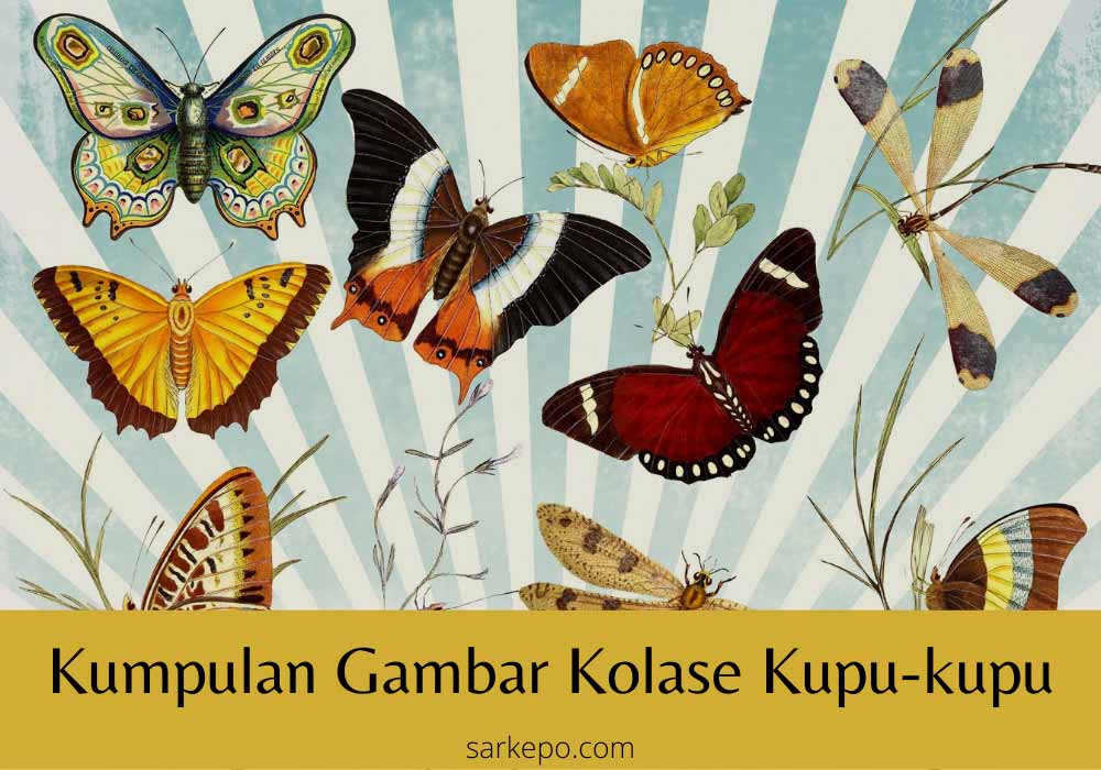 Detail Cara Membuat Kolase Daun Kering Nomer 36