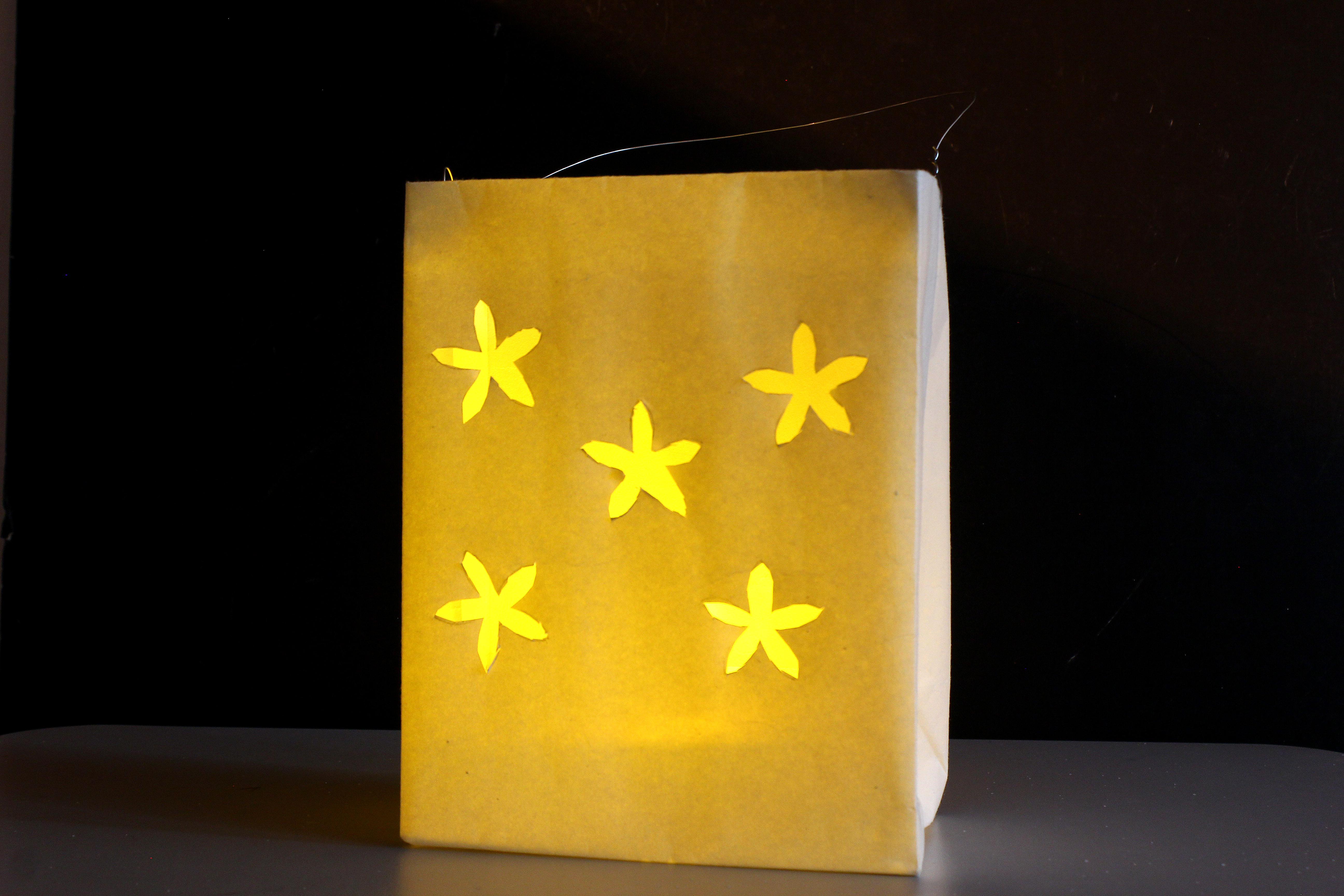 Detail Cara Membuat Lampion Dari Kertas Warna Nomer 36